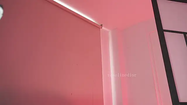 roselinedior online show from February 26, 5:07 pm