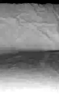 BigAssKi online show from February 3, 3:06 pm