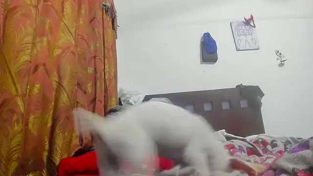 Brenda Smith69 online show from February 24, 11:53 pm