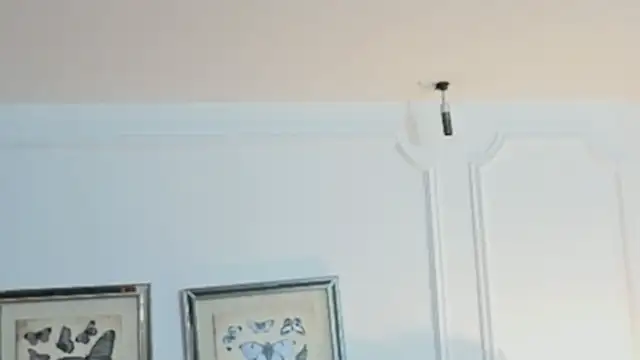 KimberlyCutee online show from July 18, 8:04 pm
