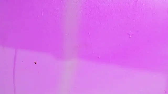 Kimberly thompsom online show from December 7, 9:06 pm