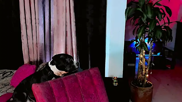 the-horus-girl online show from February 15, 11:47 pm