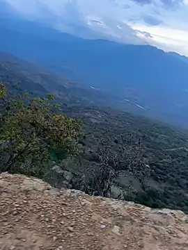 cataafitt online show from March 5, 11:10 pm