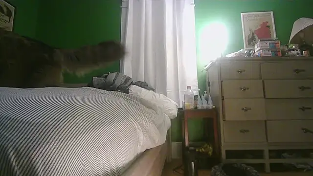 SadCatDaddy online show from February 15, 11:31 am