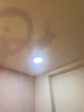 Bella  Wood online show from March 21, 8:46 pm