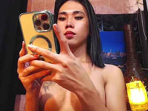 TRANSPORNIDOL online show from December 17, 8:36 pm