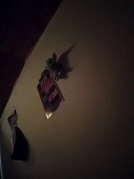 Alexis0922 online show from April 18, 2:19 pm