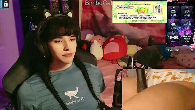 BimboCat online show from November 20, 3:51 am