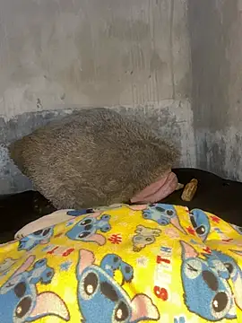 Iam AlexandraRey online show from February 15, 7:51 am