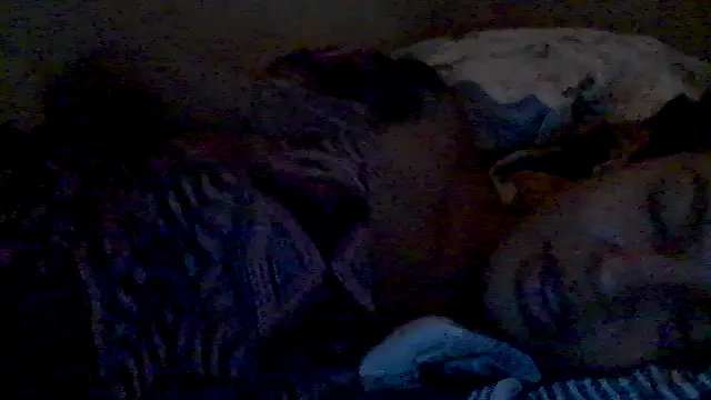 lorraine2036 online show from February 17, 2:57 pm