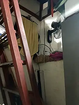 Wildcam21 online show from February 15, 5:25 am