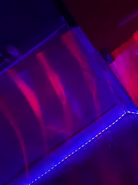 Sanieku online show from April 13, 9:08 pm