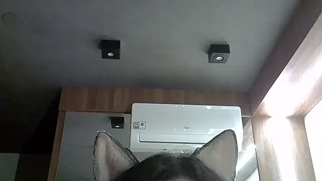 Skinny-Kitten online show from October 27, 3:03 am