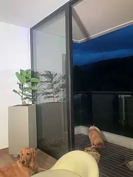 Helenbronwx online show from December 22, 11:09 pm